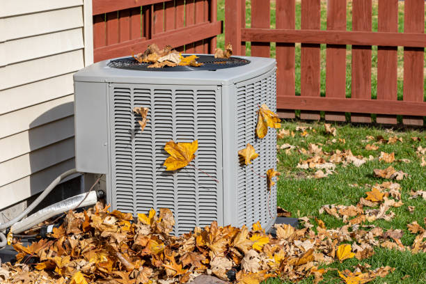 Best HVAC Cleaning Services  in Marshfield, WI